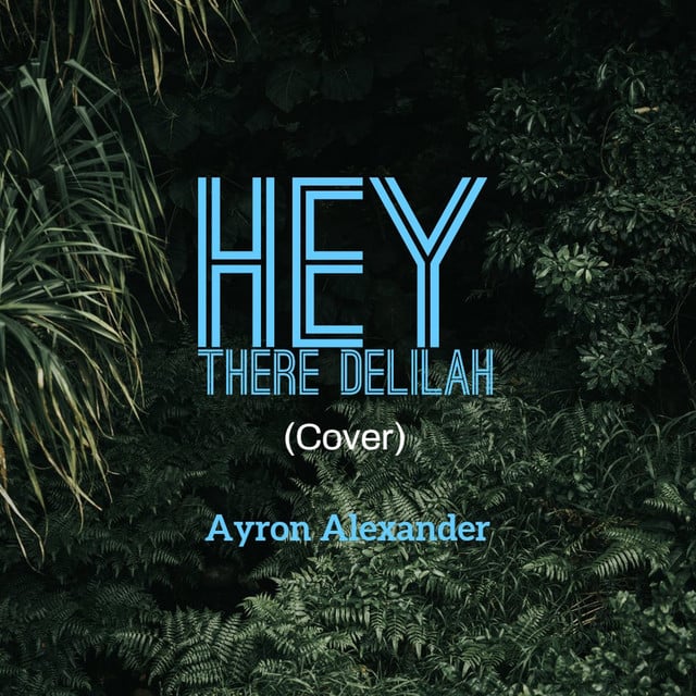Hey There Delilah - Track · Ayron Alexander