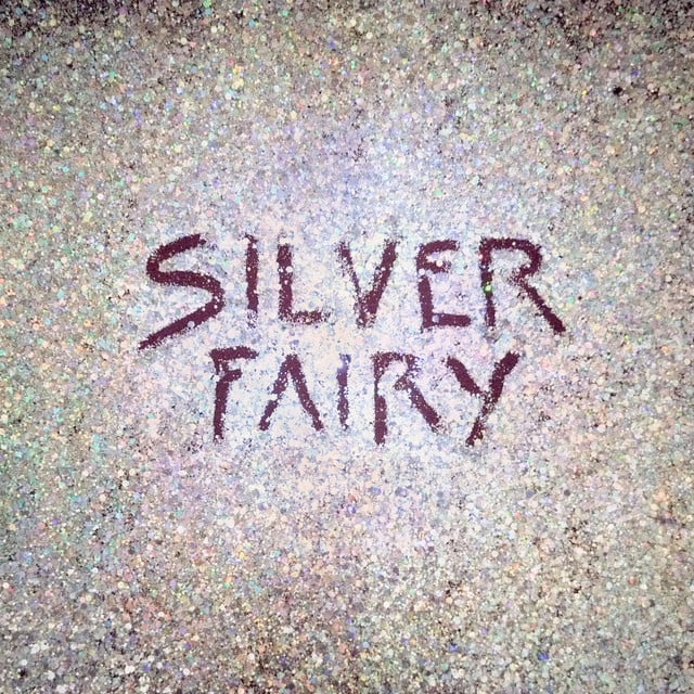 Silver Fairy - Album · Megumi Acorda