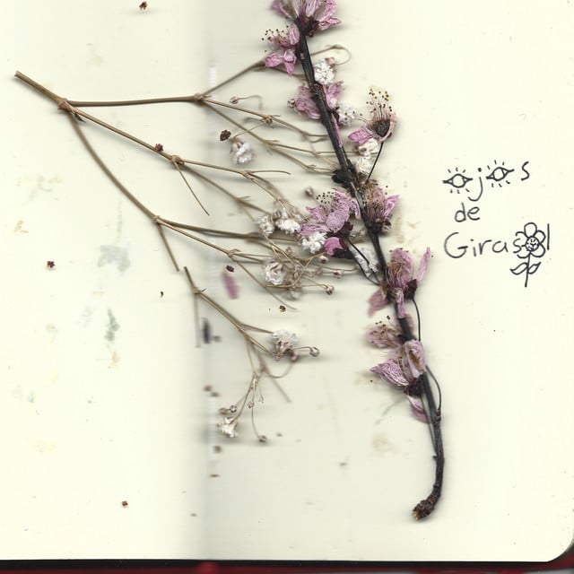 Ojos de Girasol - Track · Darviin