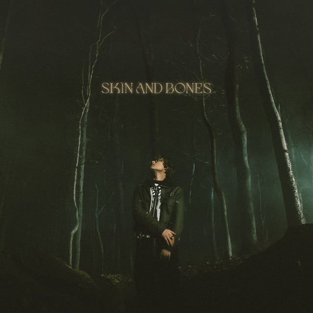Skin and Bones - Track · David Kushner