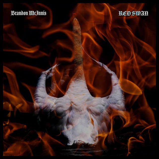 Red Swan - Track · Brandon McInnis