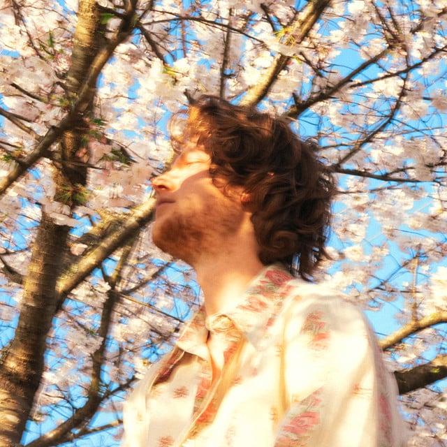 Fruit from the Trees - Album · Jack Van Cleaf