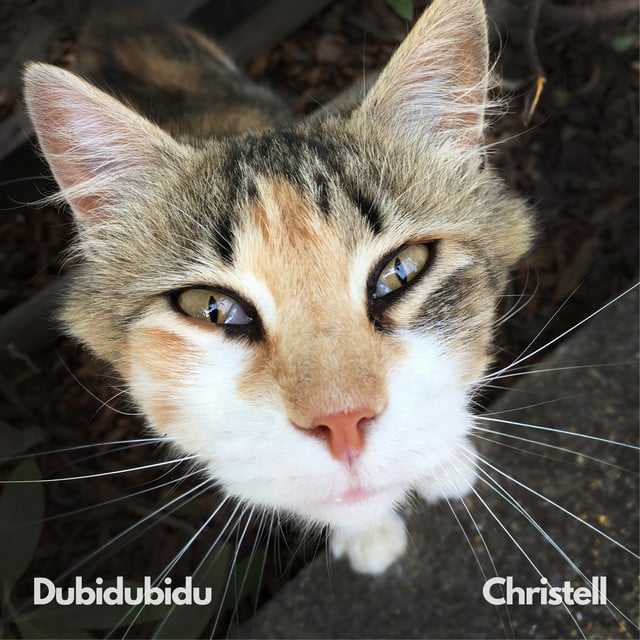 Dubidubidu (Chipi Chipi Chapa Chapa) - Album · Christell