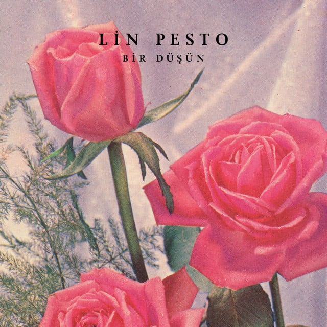 Bir Düşün - Track · Lin Pesto