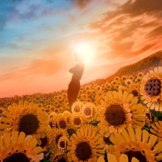 Girasol - Track · Micro TDH