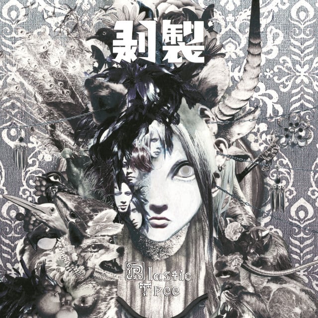 Hakusei - Album · Plastic Tree