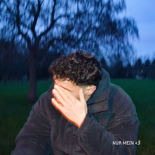 Nur mein Herz - Track · ALLESS.