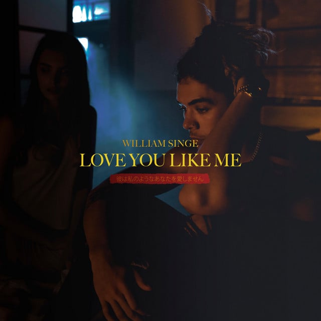 Love You Like Me - Track · William Singe