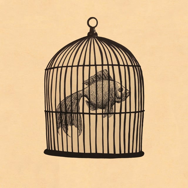 Rule #4 - Fish in a Birdcage - Track · Fish in a Birdcage