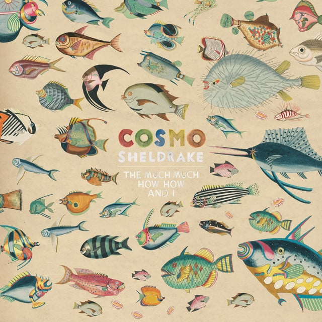 Solar Waltz - Track · Cosmo Sheldrake