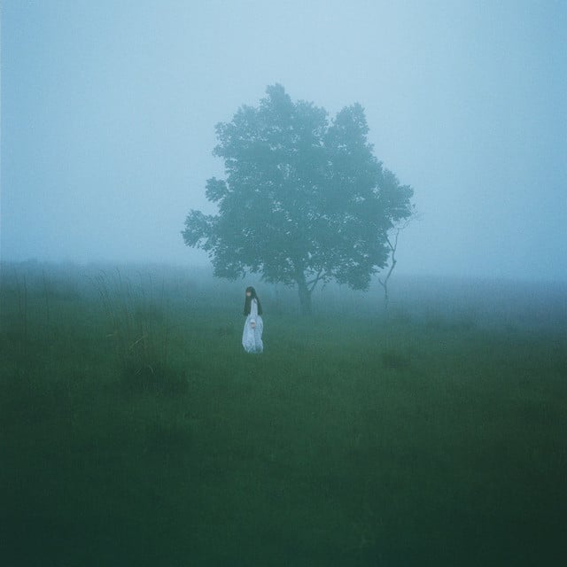 Asleep Among Endives - Track · Ichiko Aoba