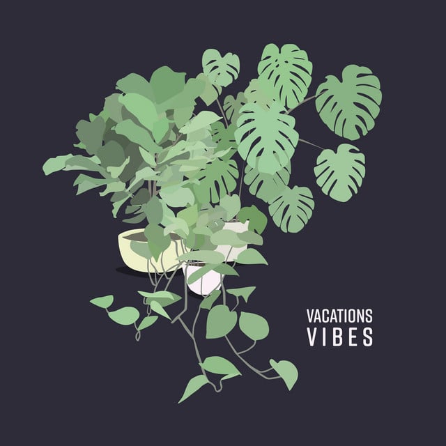 Young - Track · Vacations