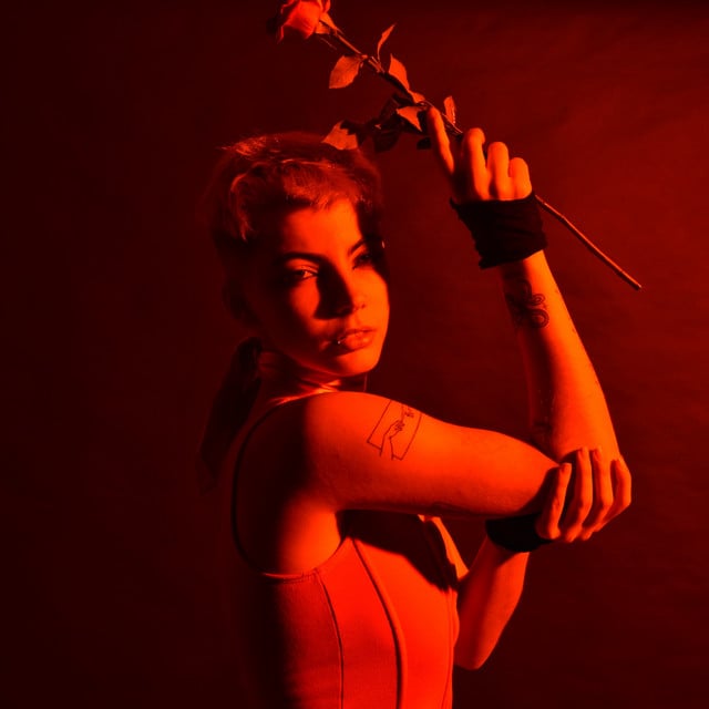 Aries - Track · ZOWIX