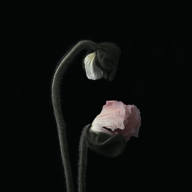 Secrets And Lies - Track · Ruelle