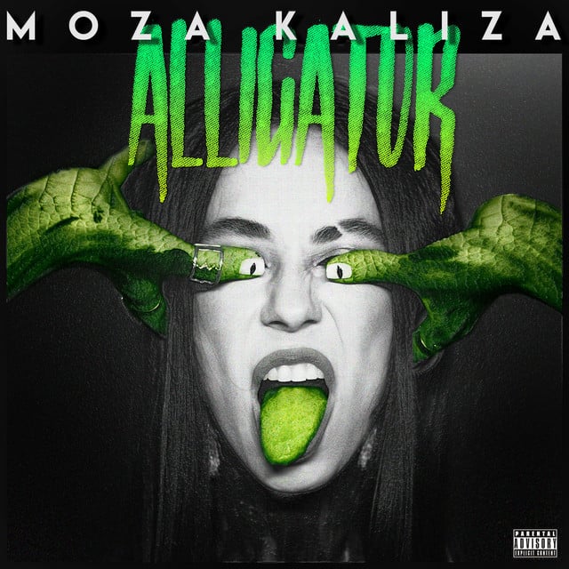 Alligator - Track · Moza Kaliza