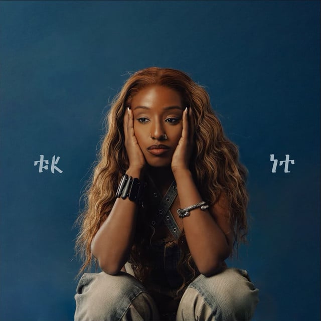 FK IT - Album · Alemeda