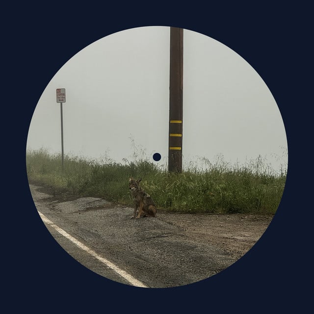 14 minutes - Album · Dominic Fike