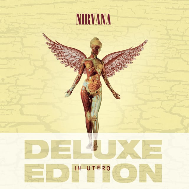 Heart-Shaped Box - Track · Nirvana