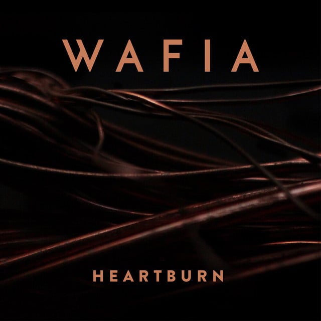 Heartburn - Track · Wafia