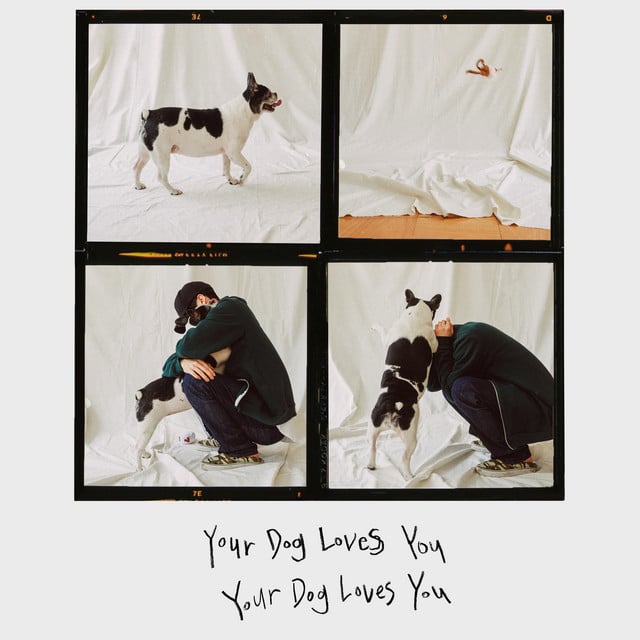 Your Dog Loves You (Feat. Crush) - Track · Colde, Crush
