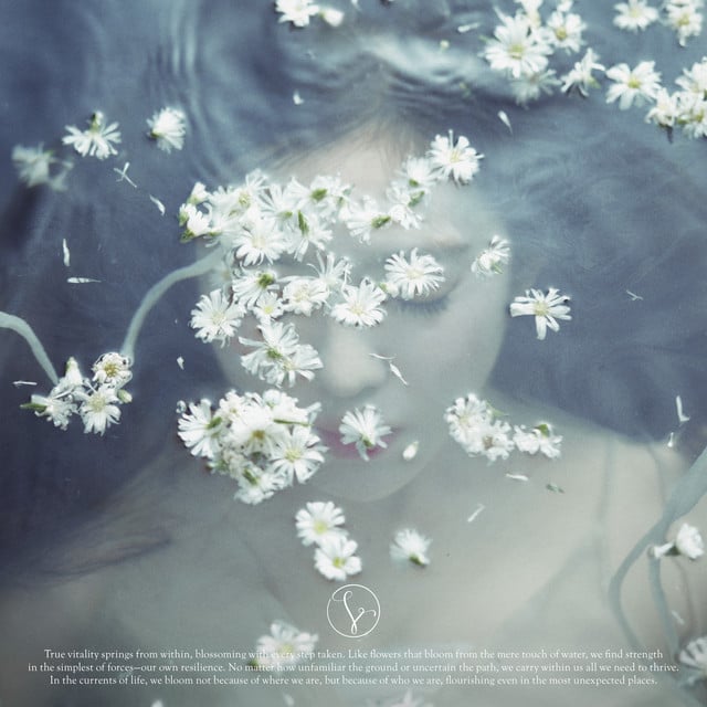 Summer Rain - Track · IRENE