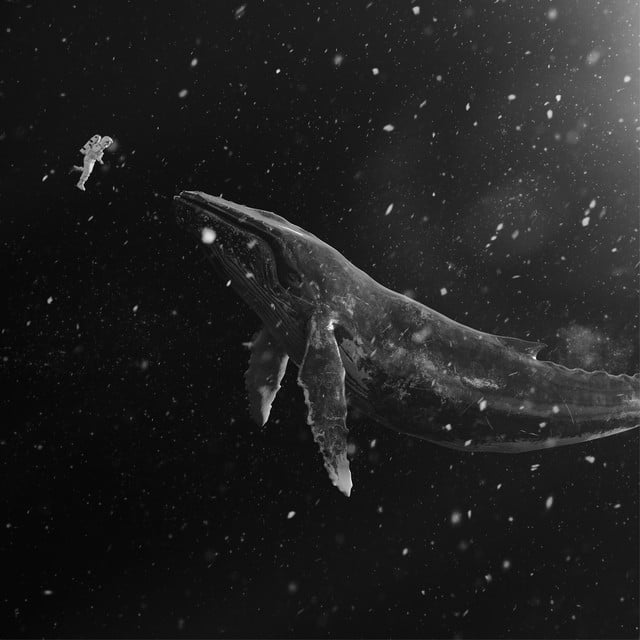 Sing For You - Track · EXO