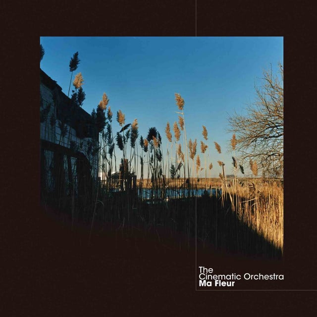 To Build A Home - Track · The Cinematic Orchestra, Patrick Watson