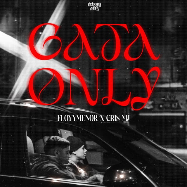 Gata Only - Track · FloyyMenor, Cris Mj