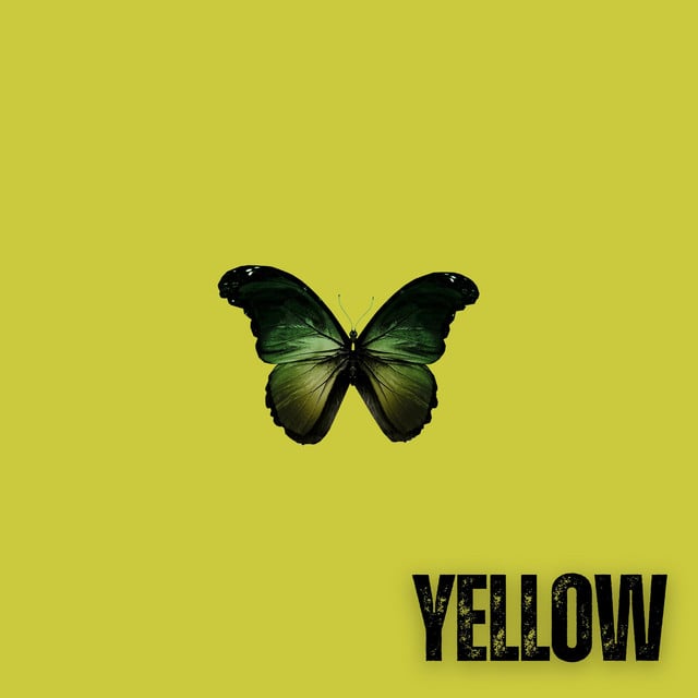 Yellow - Track · Jamie Wiltshire