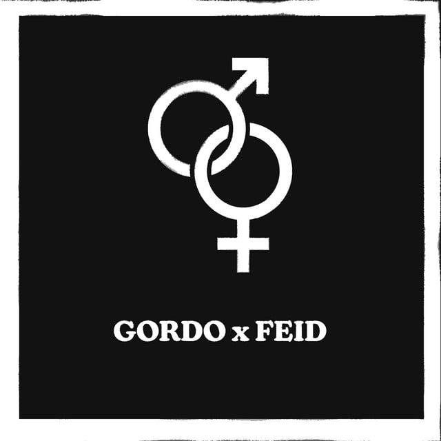 Hombres y Mujeres - Track · Gordo, Feid