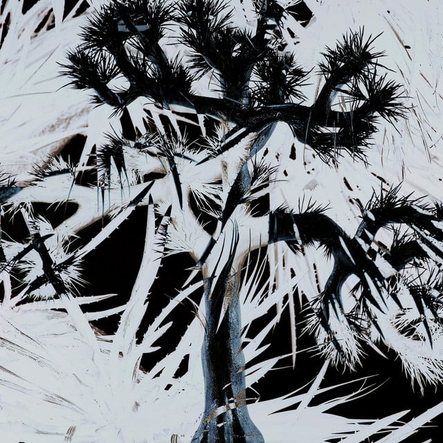 Plastic Tree - Album · Plastic Tree