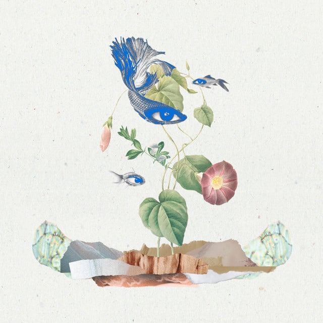 Te Veo - Track · Tua Tribu