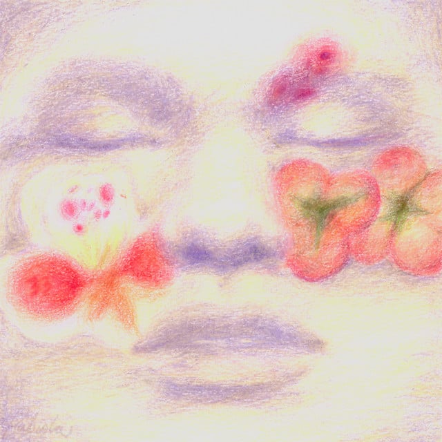 fabiola - Album · suei