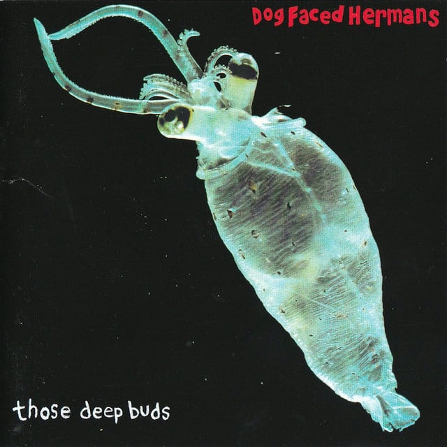 Those Deep Buds - Album · Dog Faced Hermans