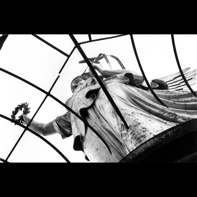 Dove - Doll Ver - Track · antihoney