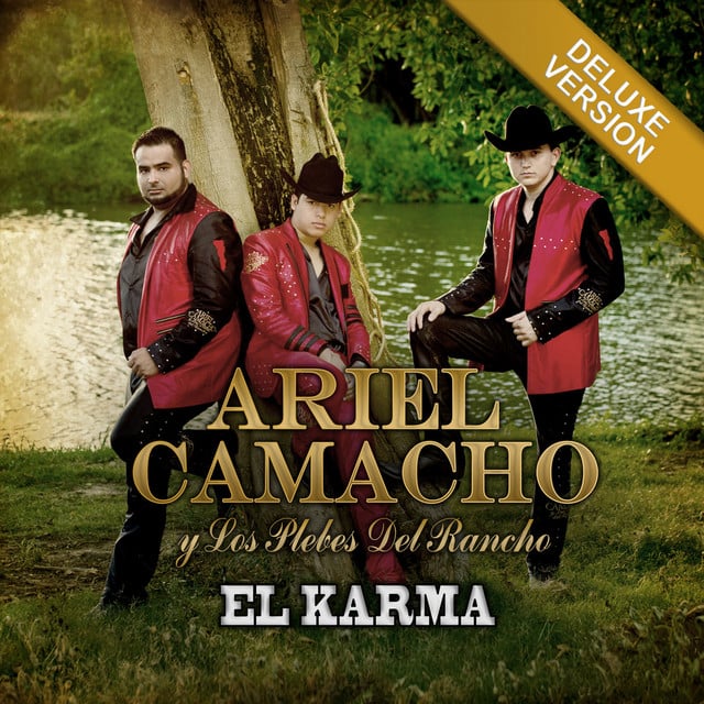 Te Metiste - Track · Ariel Camacho y Los Plebes Del Rancho