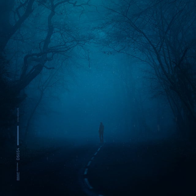 snowfall - Track · Øneheart, reidenshi