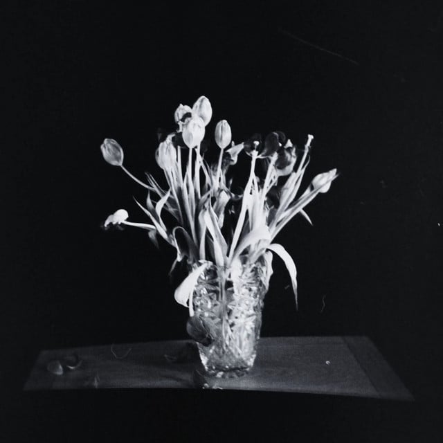 if it's not you - Album · PRYVT