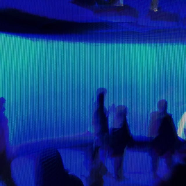 Aquarium's Afternoon - Track · Heartbeat in the brain