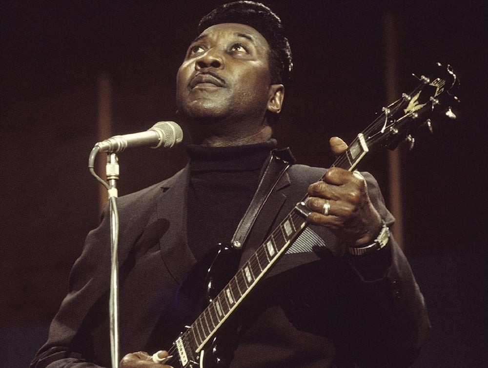 Muddy Waters - Artist