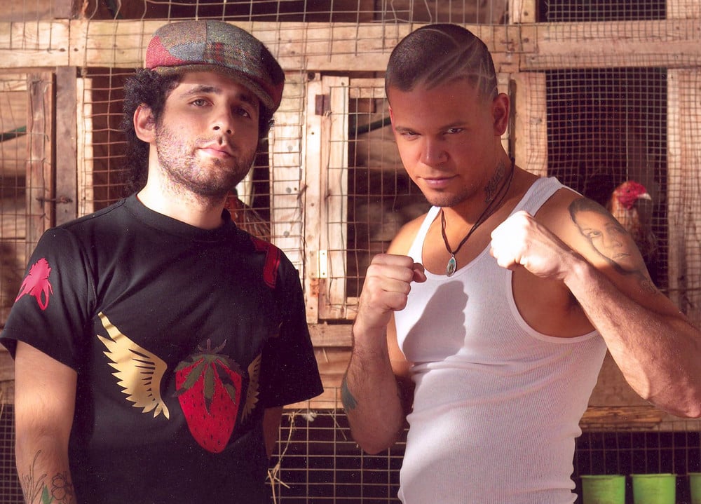 Calle 13 - Artist