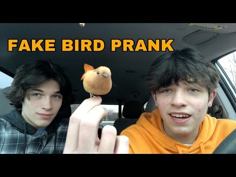 The start of a prank war. - Sturniolo Triplets