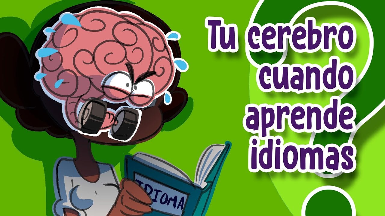 ¿Qué pasa en tu CEREBRO cuando aprendes IDIOMAS?
