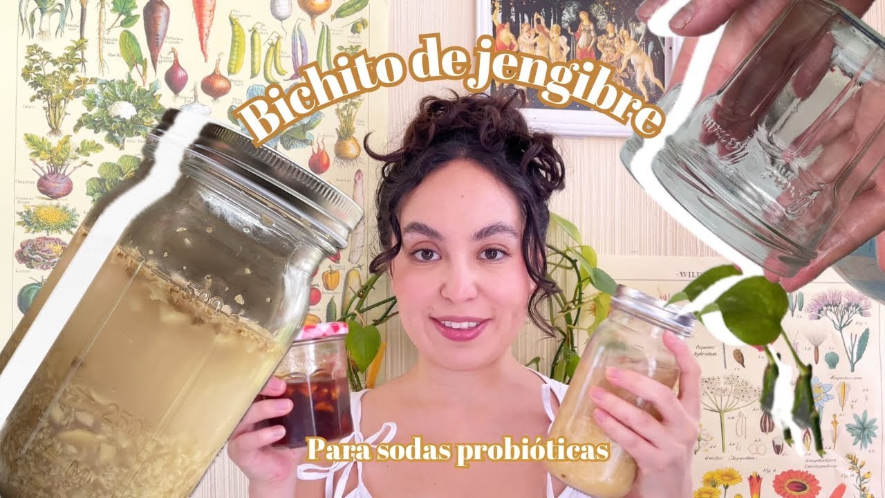 Bichito de Jengibre - #jengibre #recetas
