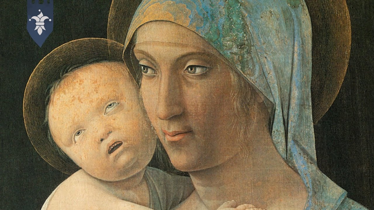 you wouldn’t last 24 hours in the dark ages