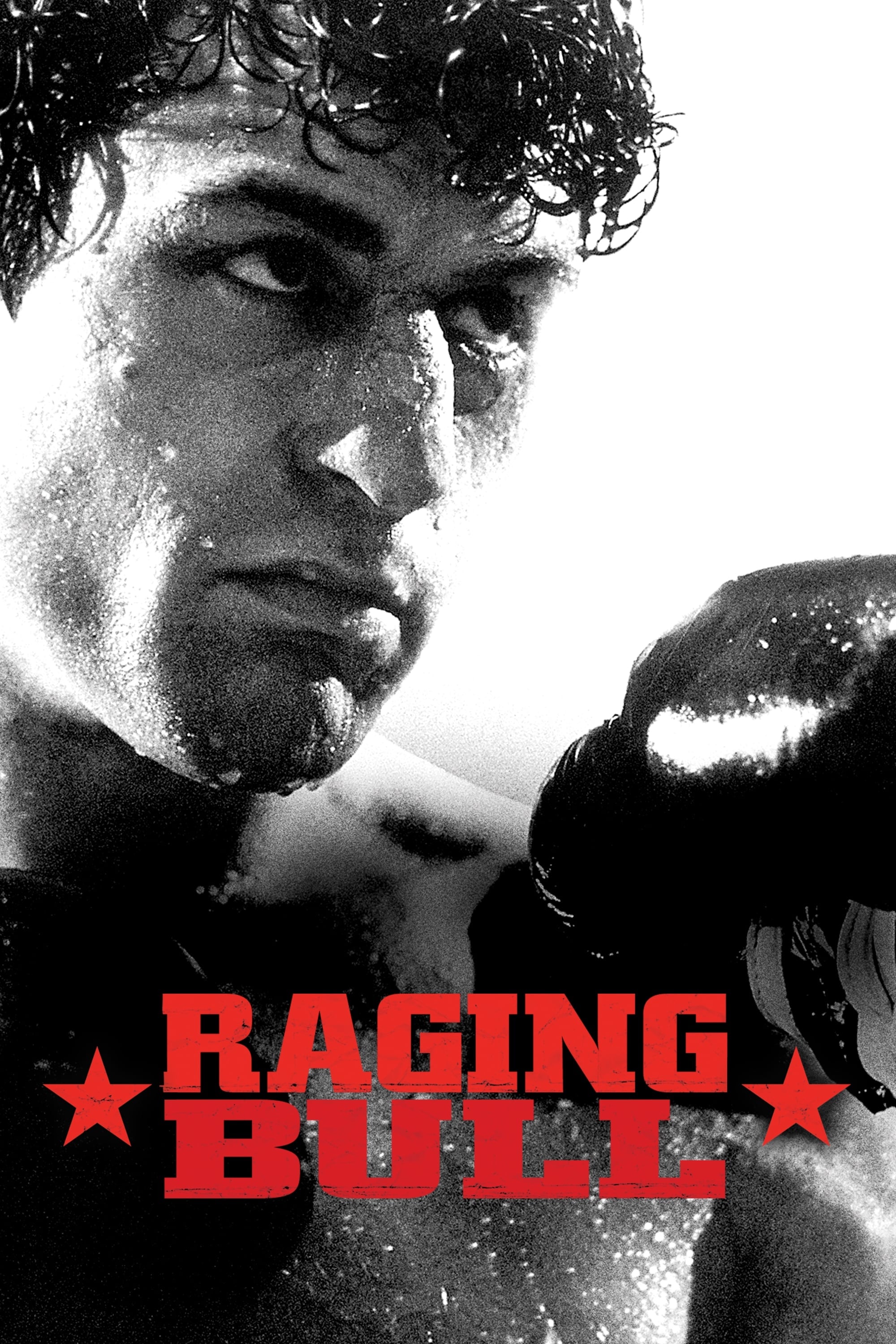 Raging Bull - Martin Scorsese · 1980