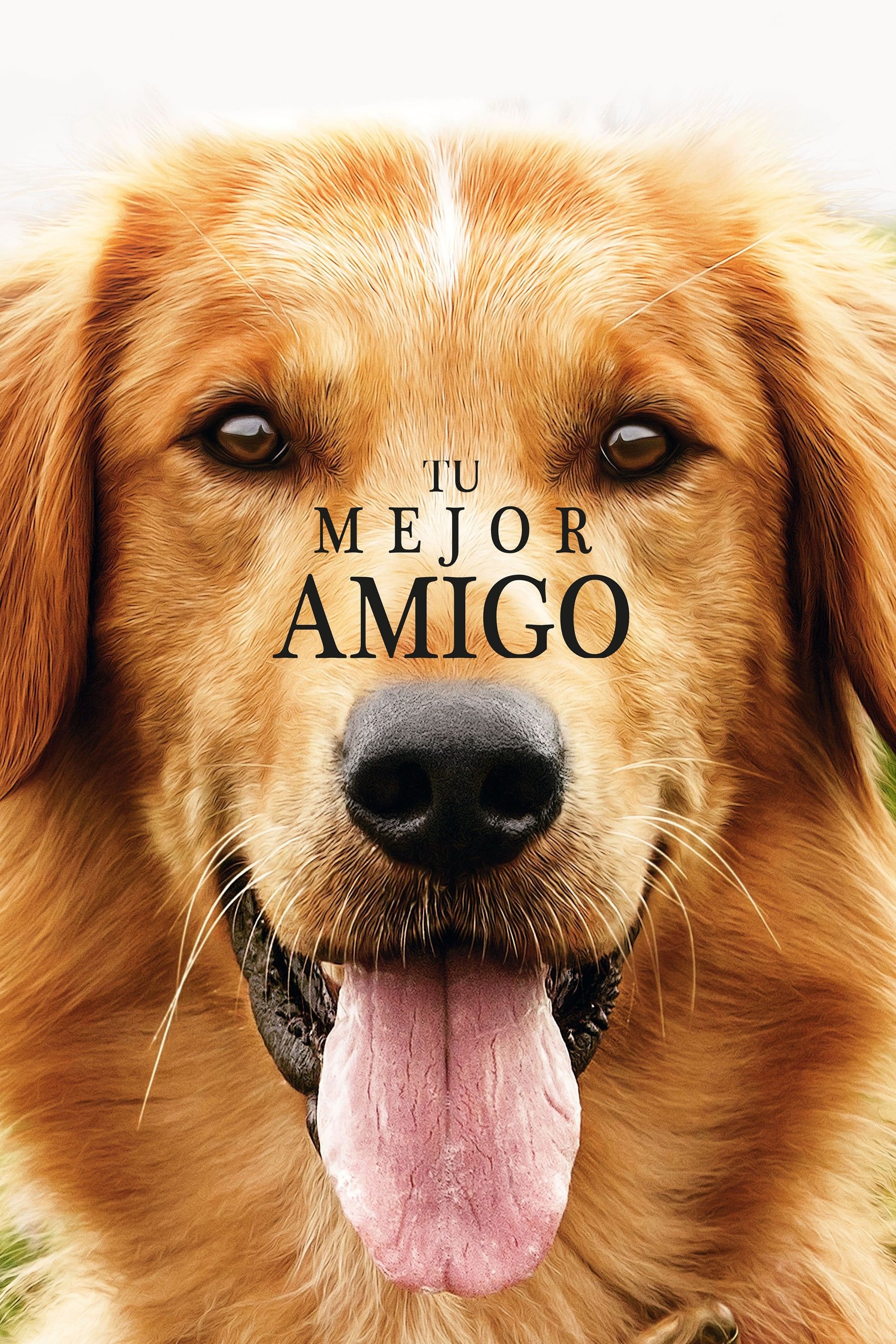 Tu mejor amigo - Lasse Hallström · 2017