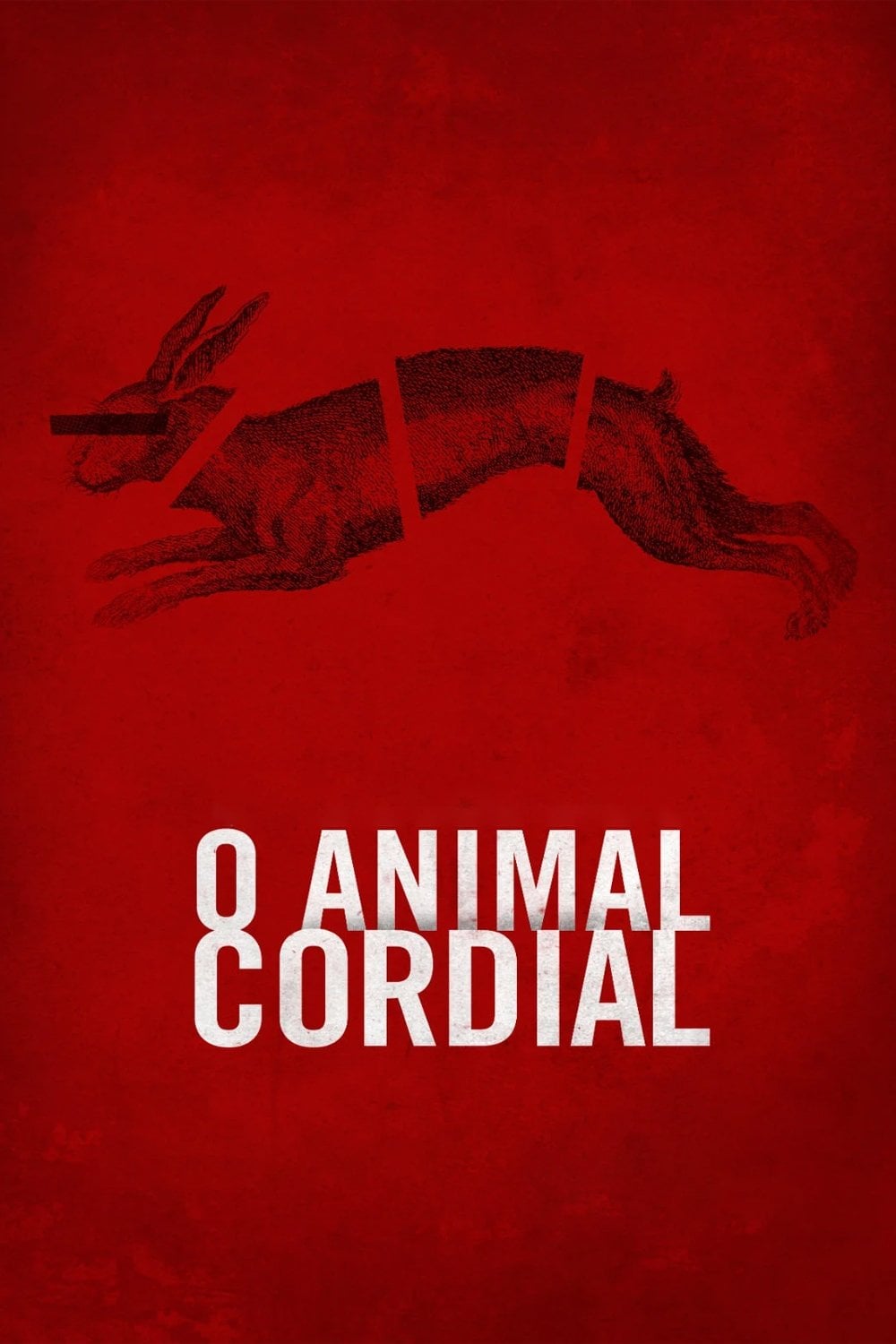 O Animal Cordial - Gabriela Amaral Almeida · 2018