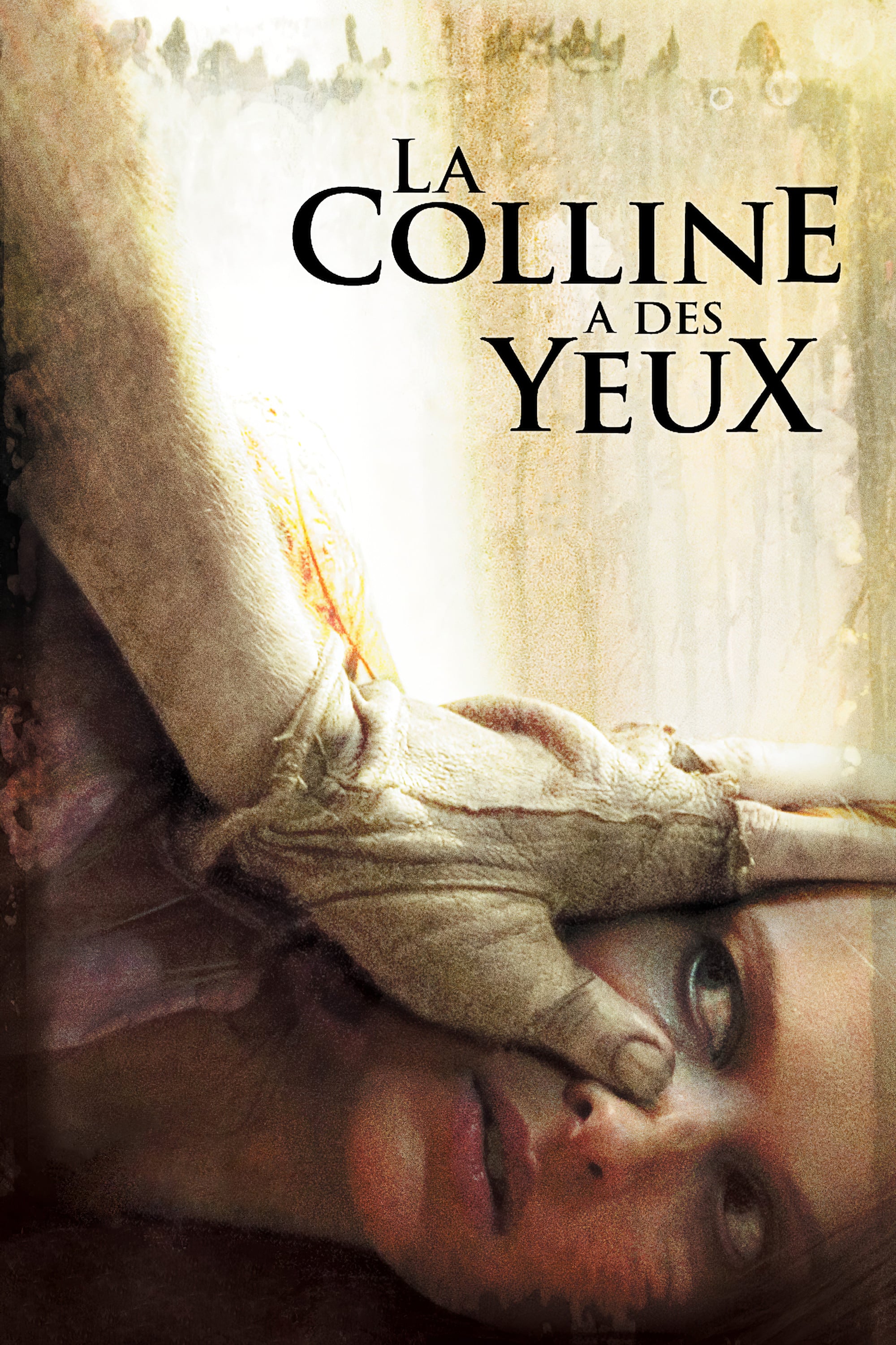 La colline a des yeux - Alexandre Aja · 2006