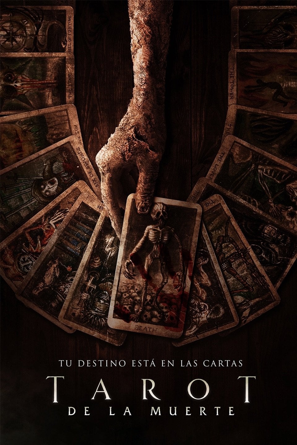 Tarot - Spenser Cohen · 2024